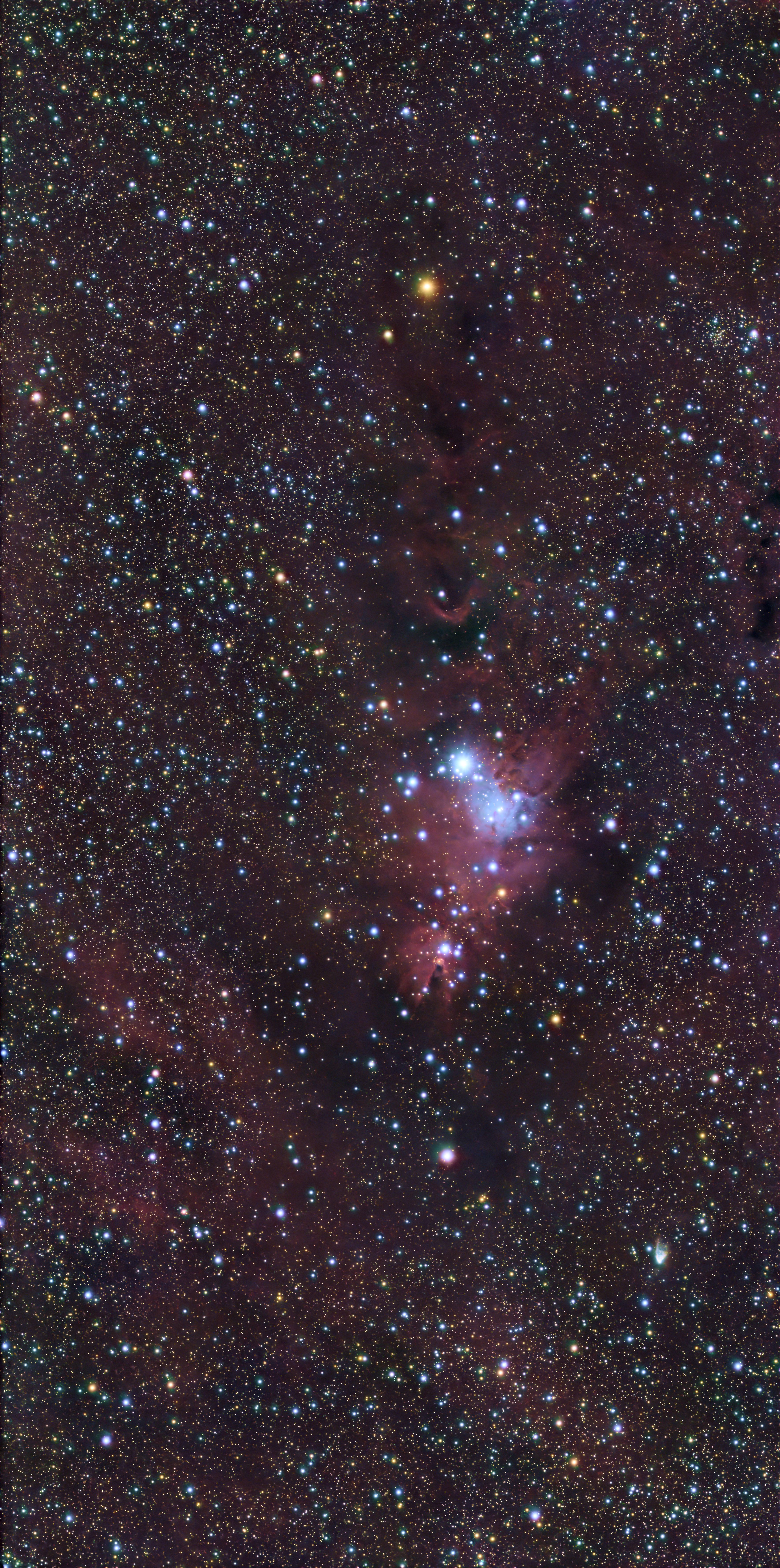 NGC 2264 (Christmas Tree Cluster)